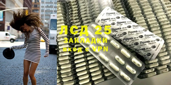 бошки Тавда