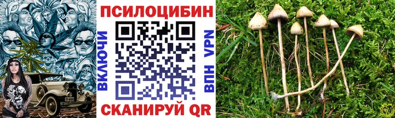 Галлюциногенные грибы мицелий Ильский